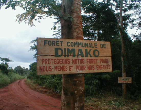 Foret Communale Dimako