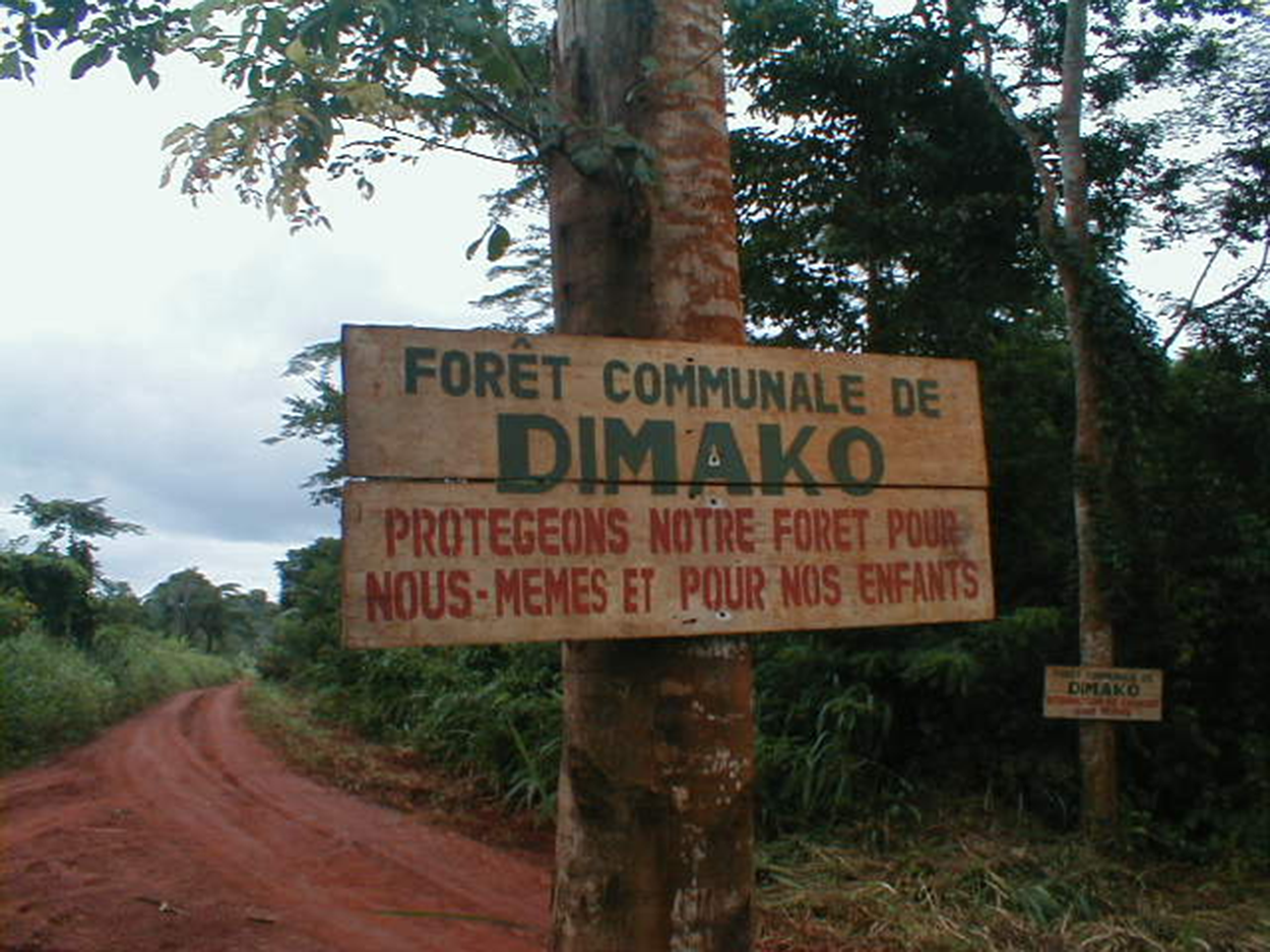 Foret Communale Dimako