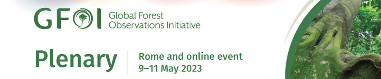 2023 GFOI event