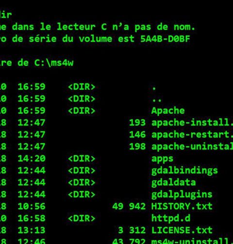 Execution Mapserver