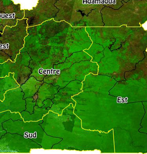 habillage cartographique