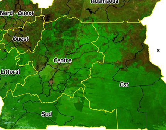 habillage cartographique