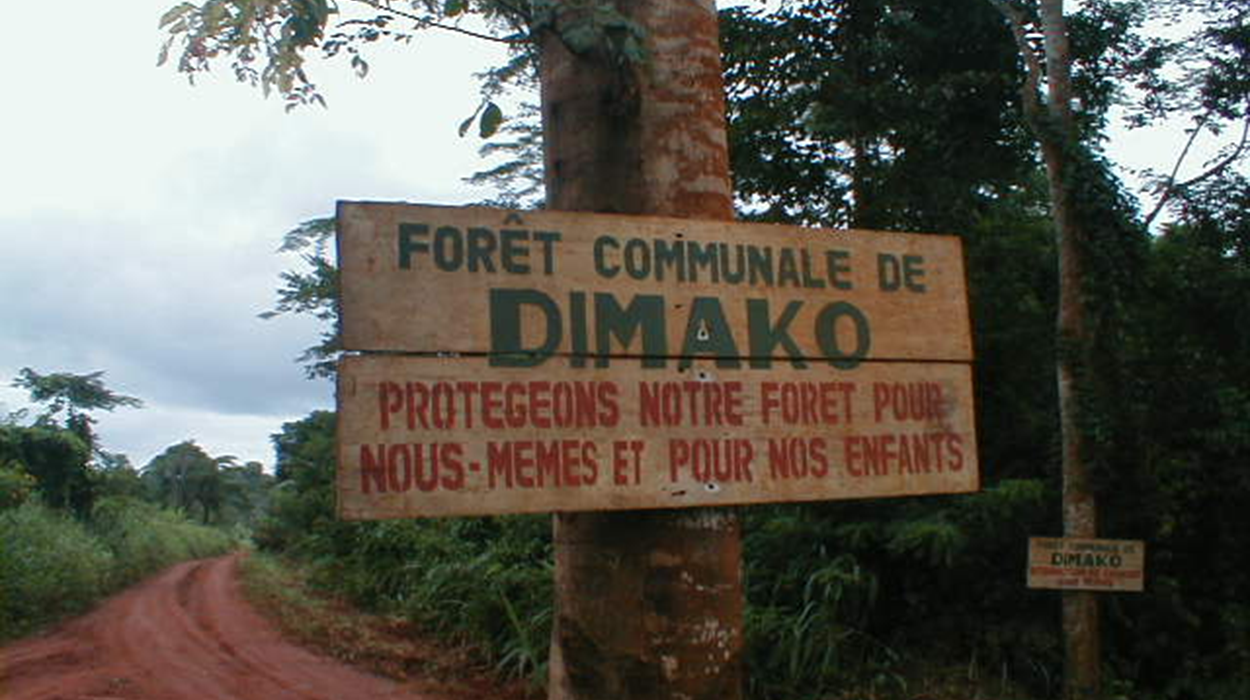 Foret Communale Dimako