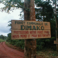 Foret Communale Dimako