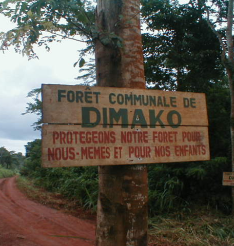 Foret Communale Dimako