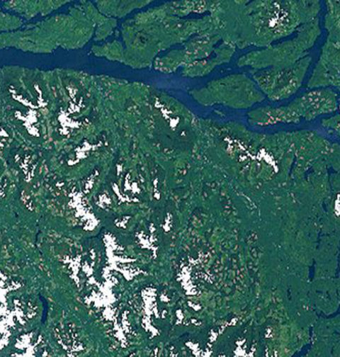 Satellite forest