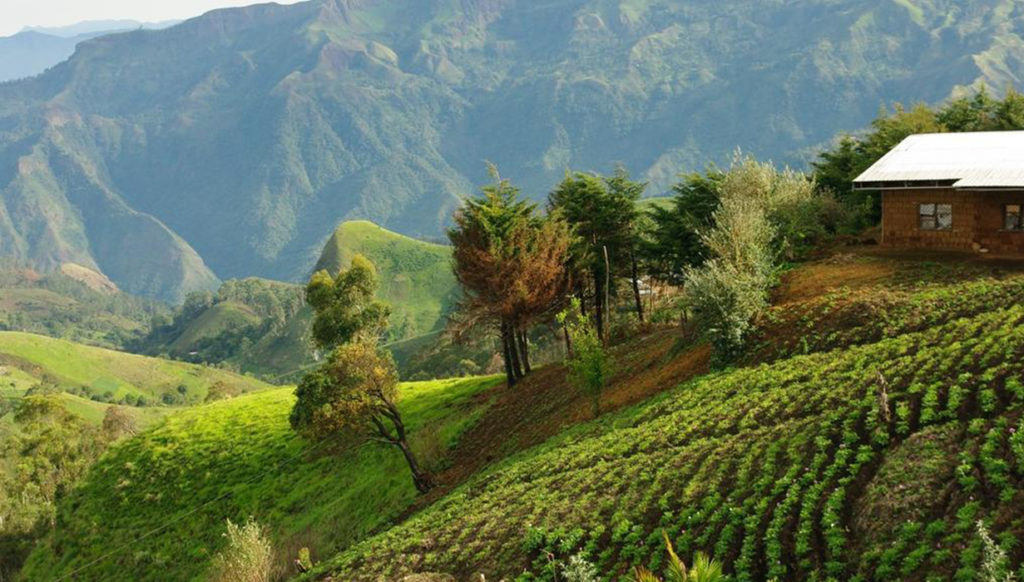 Region de montagne