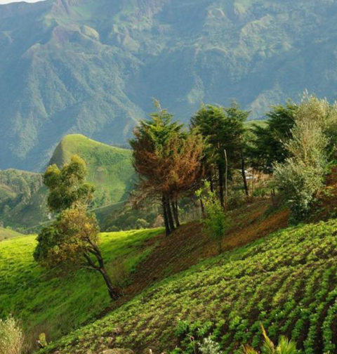 Region de montagne