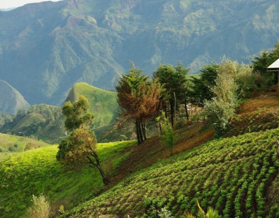 Region de montagne