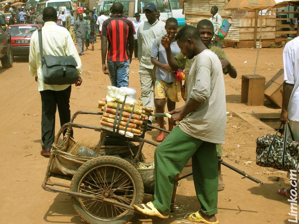 Vendeur-ambulant-de-cannes-a-sucre-Yaounde.