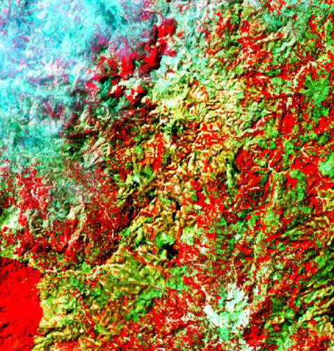 Composition Colorée