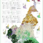 La carte phytogéographique du Cameroun de René LETOUZEY en téléchargement