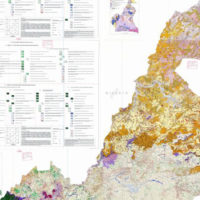 Carte Phytogéographique du Cameroun