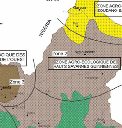 Zone agro-écologique Cameroun