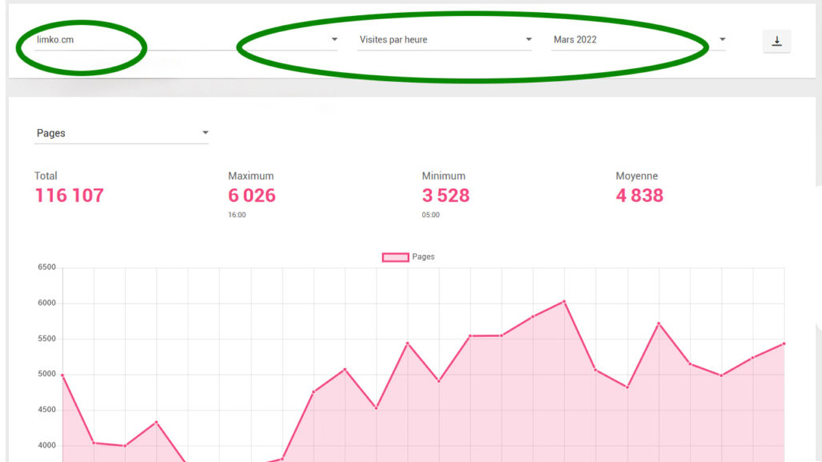 Statistiques Webalizer