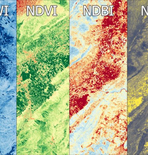 NDVI