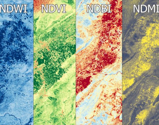 NDVI