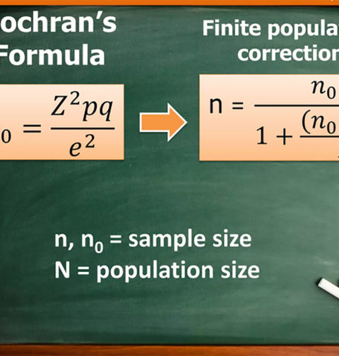 Sampling formular