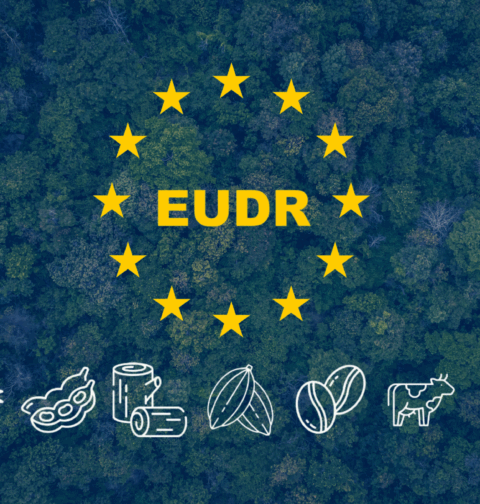 EUDR RDUE